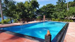 Dive into Lembeh at Hairball Resort - swimming pool.